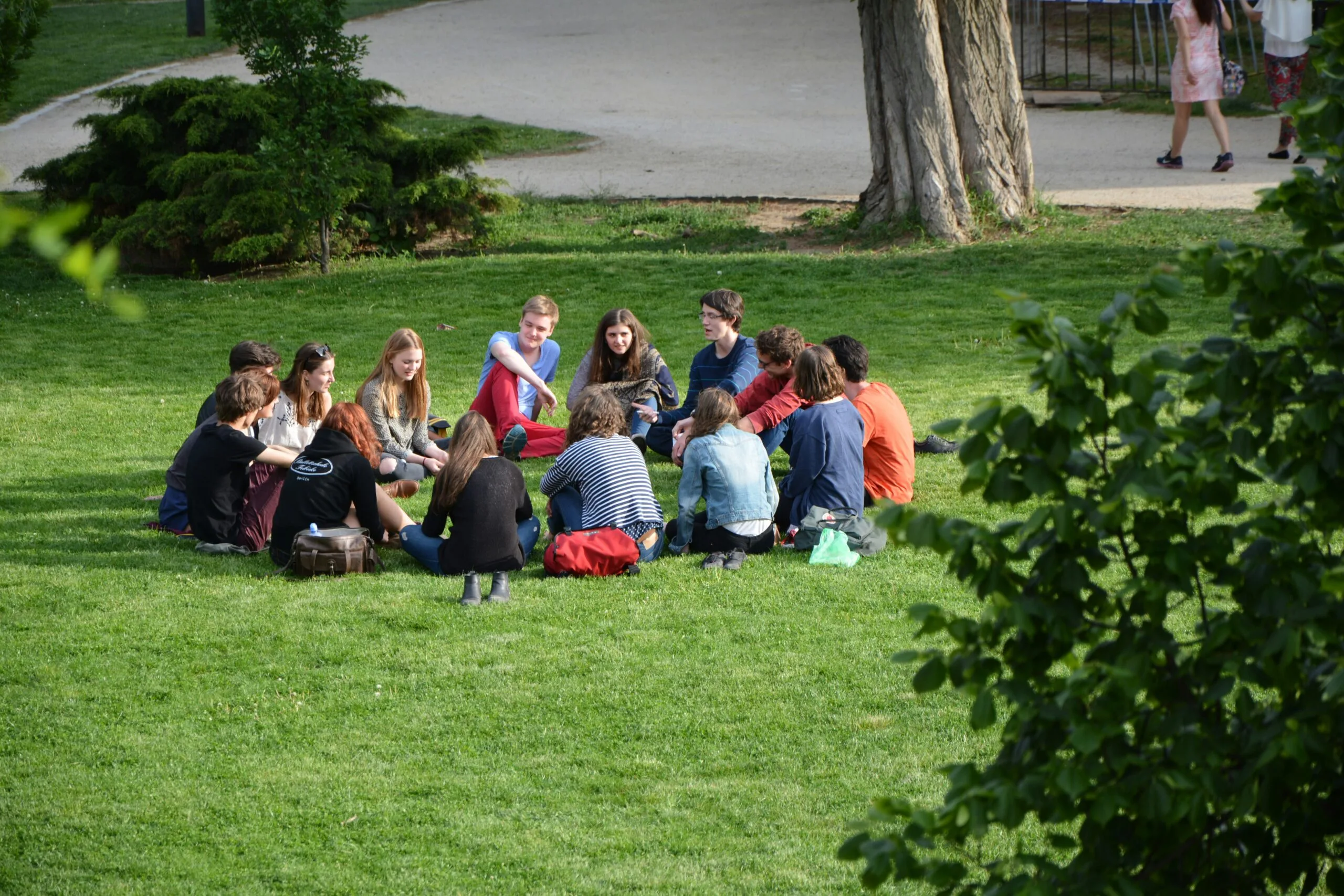 What Are the Most Searched Study Abroad Programs in the USA?