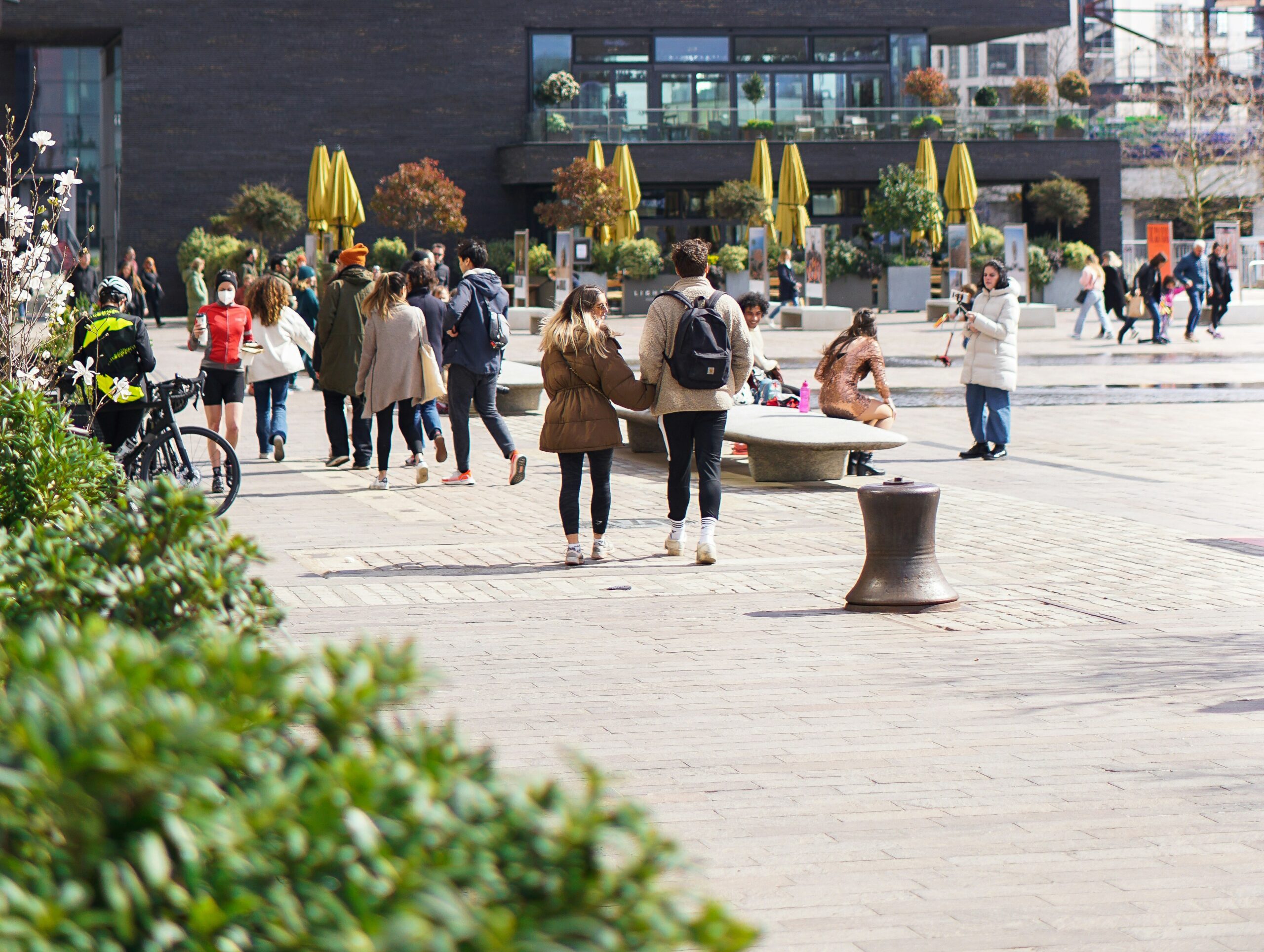 Study in Finland for Free | Vamia College 2025 Admissions