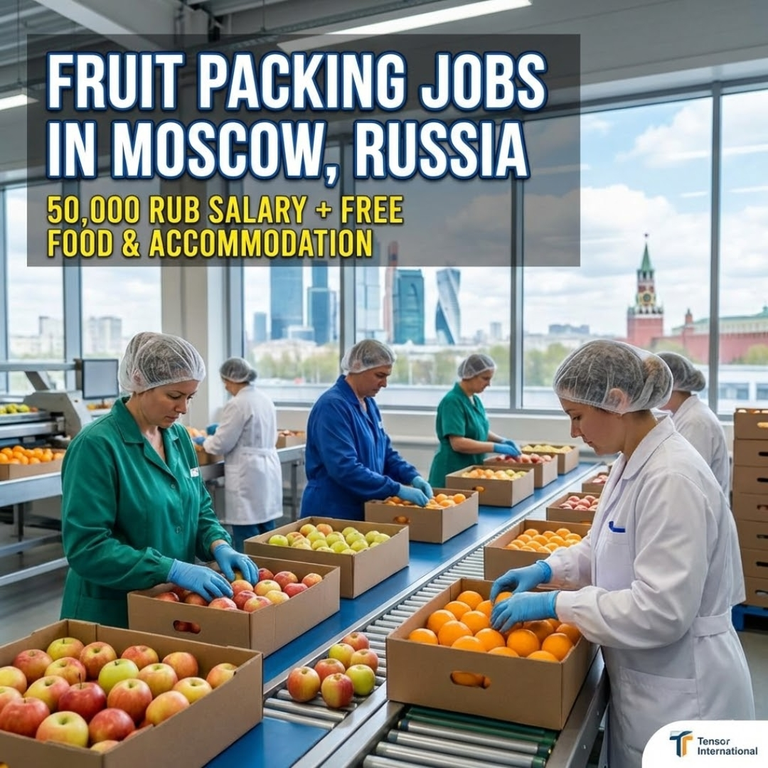 Instant Hiring: Fruit Packing Jobs in Russia – 50,000 RUB Salary + Free Food & Accommodation